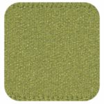 Moss 79